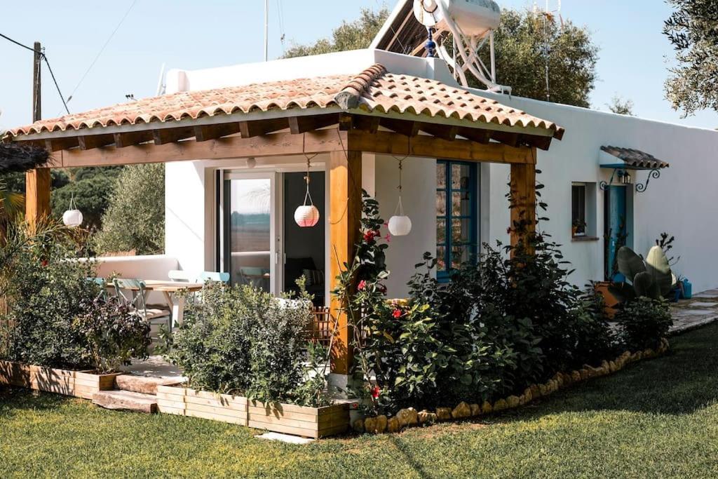 Soul Casas Villa Вехер де ла Фронтера Екстериор снимка