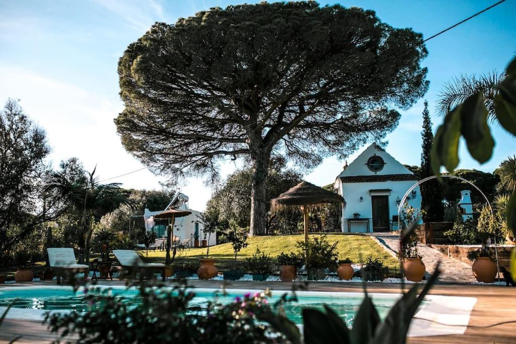 Soul Casas Villa Вехер де ла Фронтера Екстериор снимка