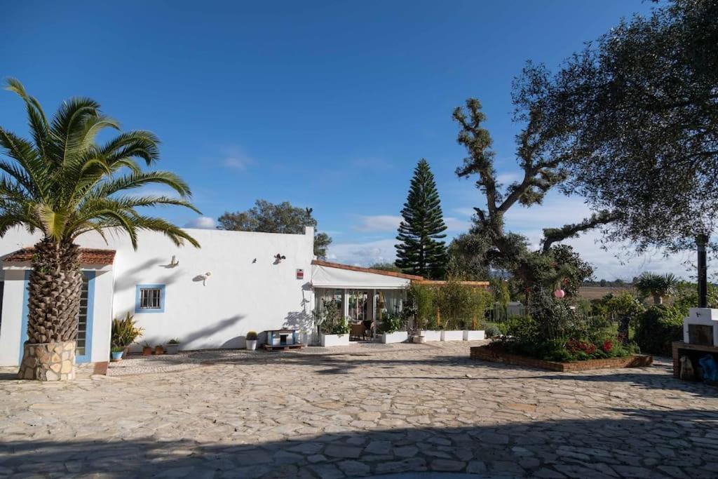 Soul Casas Villa Вехер де ла Фронтера Екстериор снимка