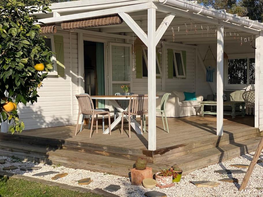 Soul Casas Villa Вехер де ла Фронтера Стая снимка